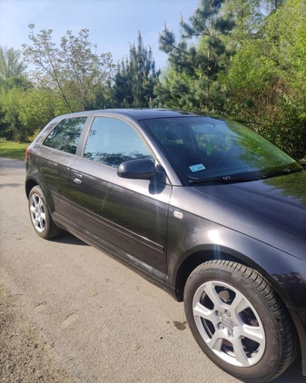 Audi A3 cena 8000 przebieg: 295605, rok produkcji 2003 z Sokółka małe 211